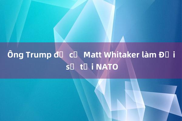 Ông Trump đề cử Matt Whitaker làm Đại sứ tại NATO