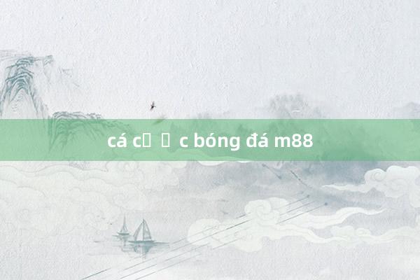 cá cược bóng đá m88