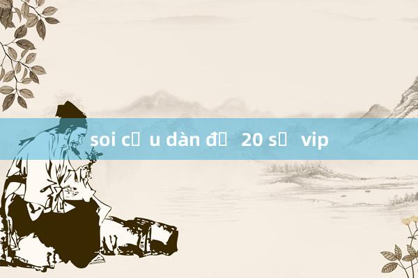 soi cầu dàn đề 20 số vip