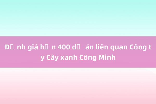 Định giá hơn 400 dự án liên quan Công ty Cây xanh Công Minh