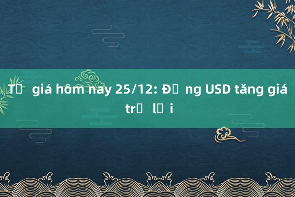 Tỷ giá hôm nay 25/12: Đồng USD tăng giá trở lại