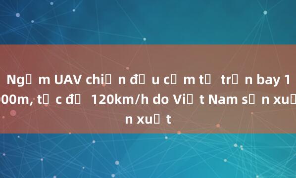 Ngắm UAV chiến đấu cảm tử trần bay 1.000m， tốc độ 120km/h do Việt Nam sản xuất