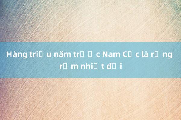 Hàng triệu năm trước Nam Cực là rừng rậm nhiệt đới