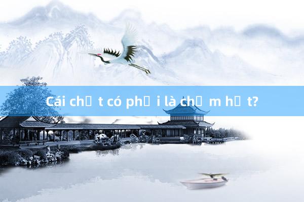 Cái chết có phải là chấm hết?