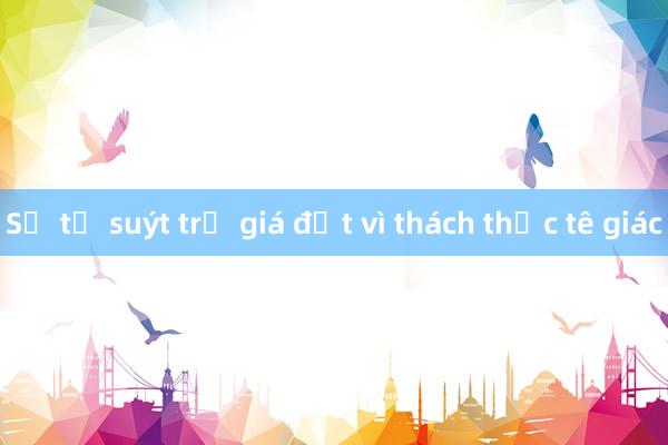 Sư tử suýt trả giá đắt vì thách thức tê giác