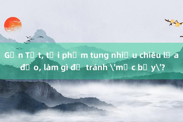 Gần Tết， tội phạm tung nhiều chiêu lừa đảo， làm gì để tránh 'mắc bẫy'?