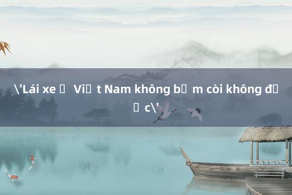 'Lái xe ở Việt Nam không bấm còi không được'